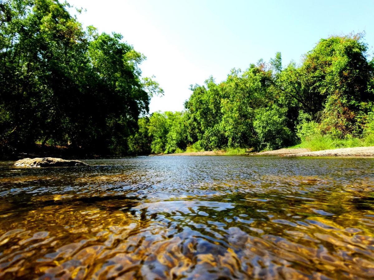 The Wilds Villa Gir Jungle Stay With Swimming Pool Szaszan Gir Kültér fotó