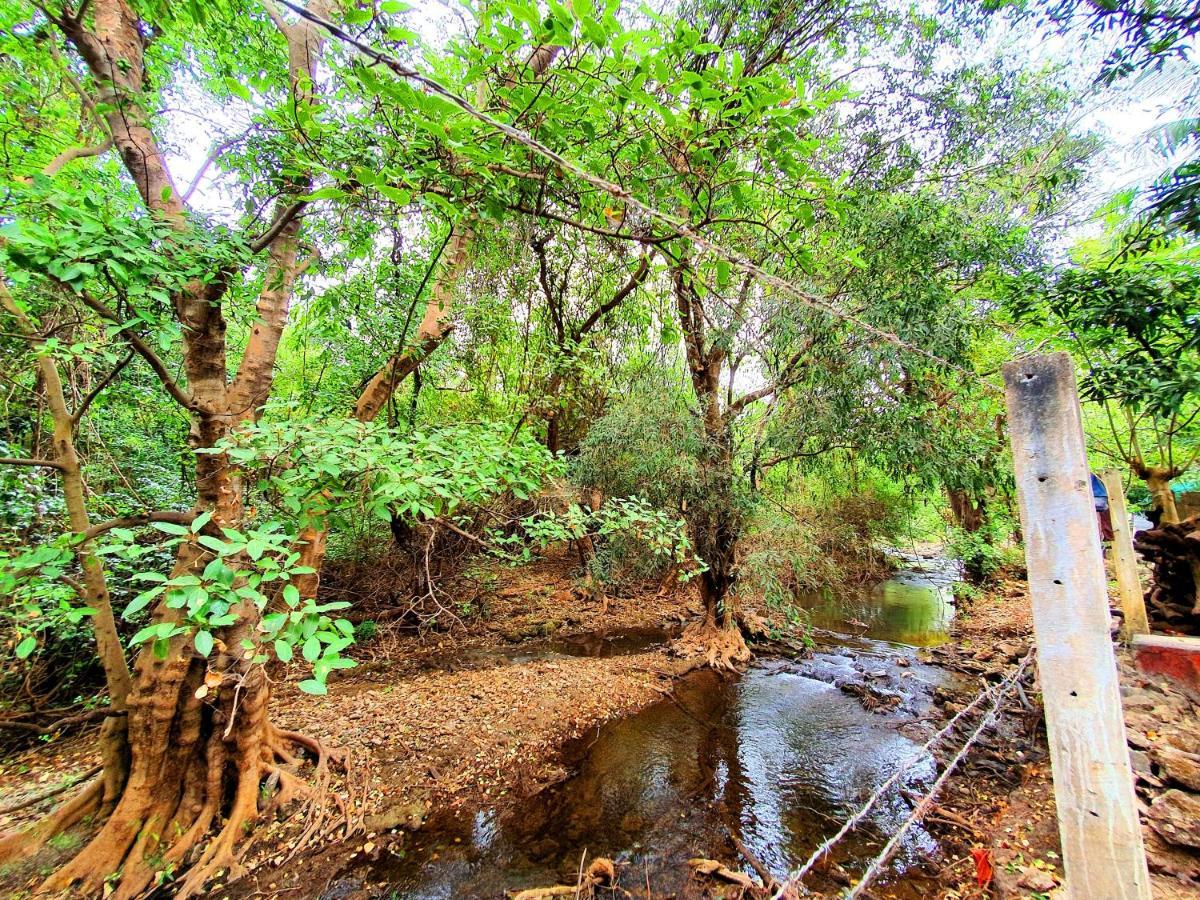 The Wilds Villa Gir Jungle Stay With Swimming Pool Szaszan Gir Kültér fotó